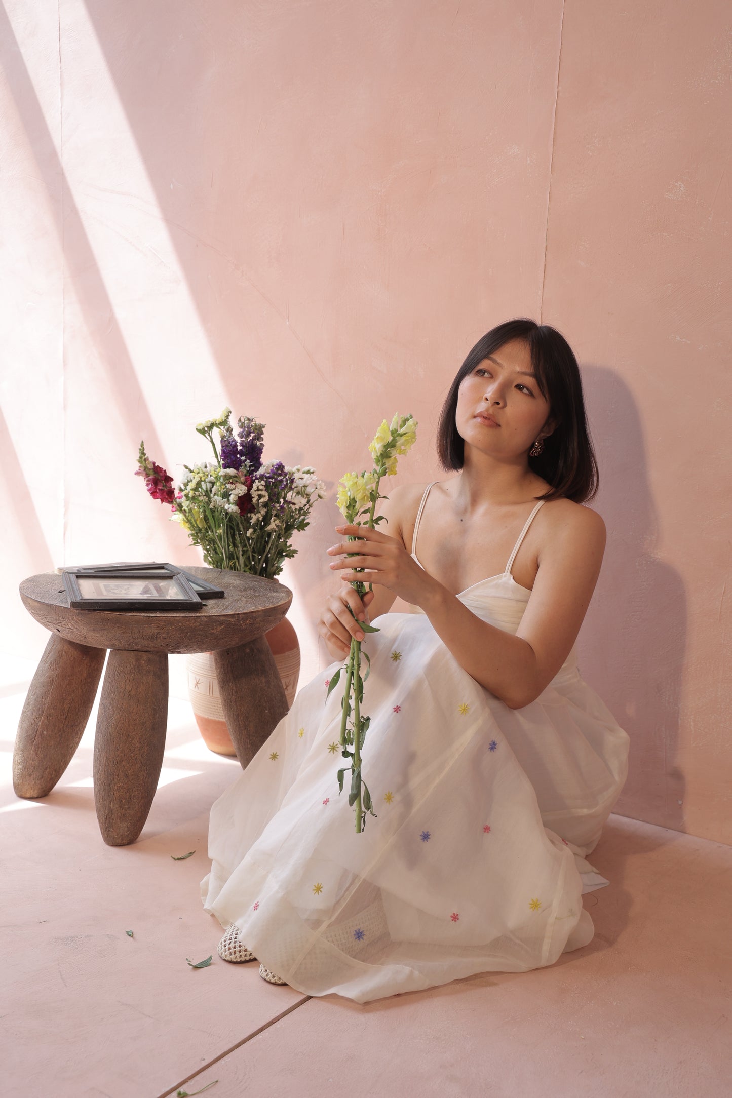 Baradari Dress