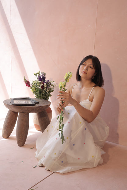Baradari Dress